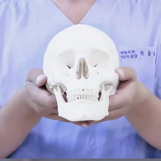 두 손에 든 두개골 모형
